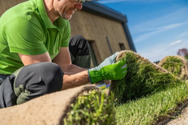 A person in a green shirt and gloves is laying down rolls of sod on a lawn. The background shows a wooden building under a clear blue sky.