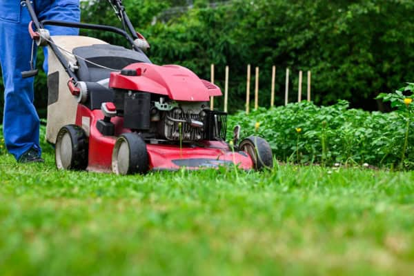 A person in blue pants is pushing a red lawn mower across a green lawn. In the background, there are wooden stakes and lush greenery.