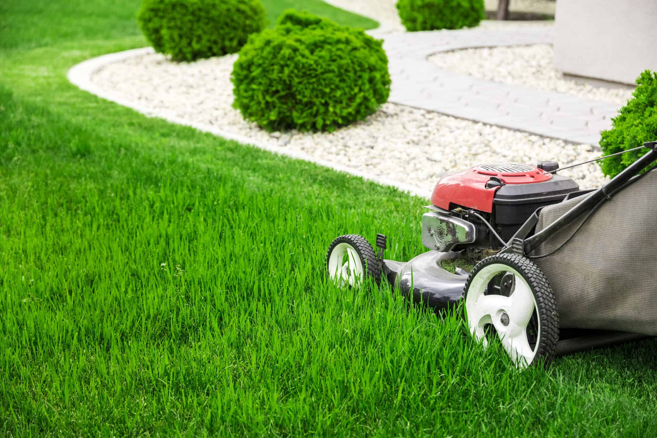 A red and black lawnmower cutting green grass in a neatly landscaped garden. The background features rounded bushes and a border of white pebbles.