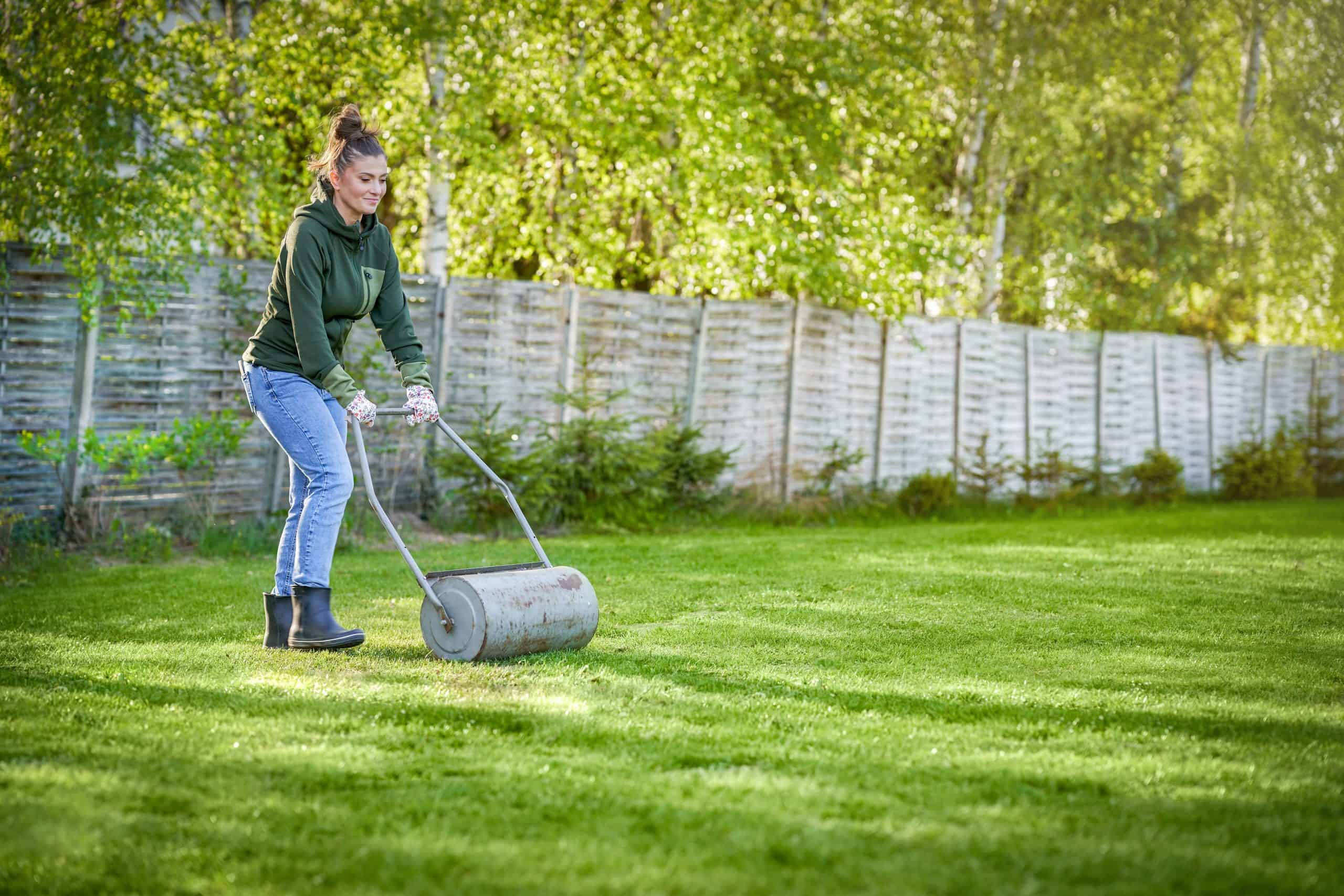 A person wearing a green hoodie and jeans is using a lawn roller on a lush green lawn. They are standing near a wooden fence, with trees in the background. The sun is shining, casting a warm glow over the scene.