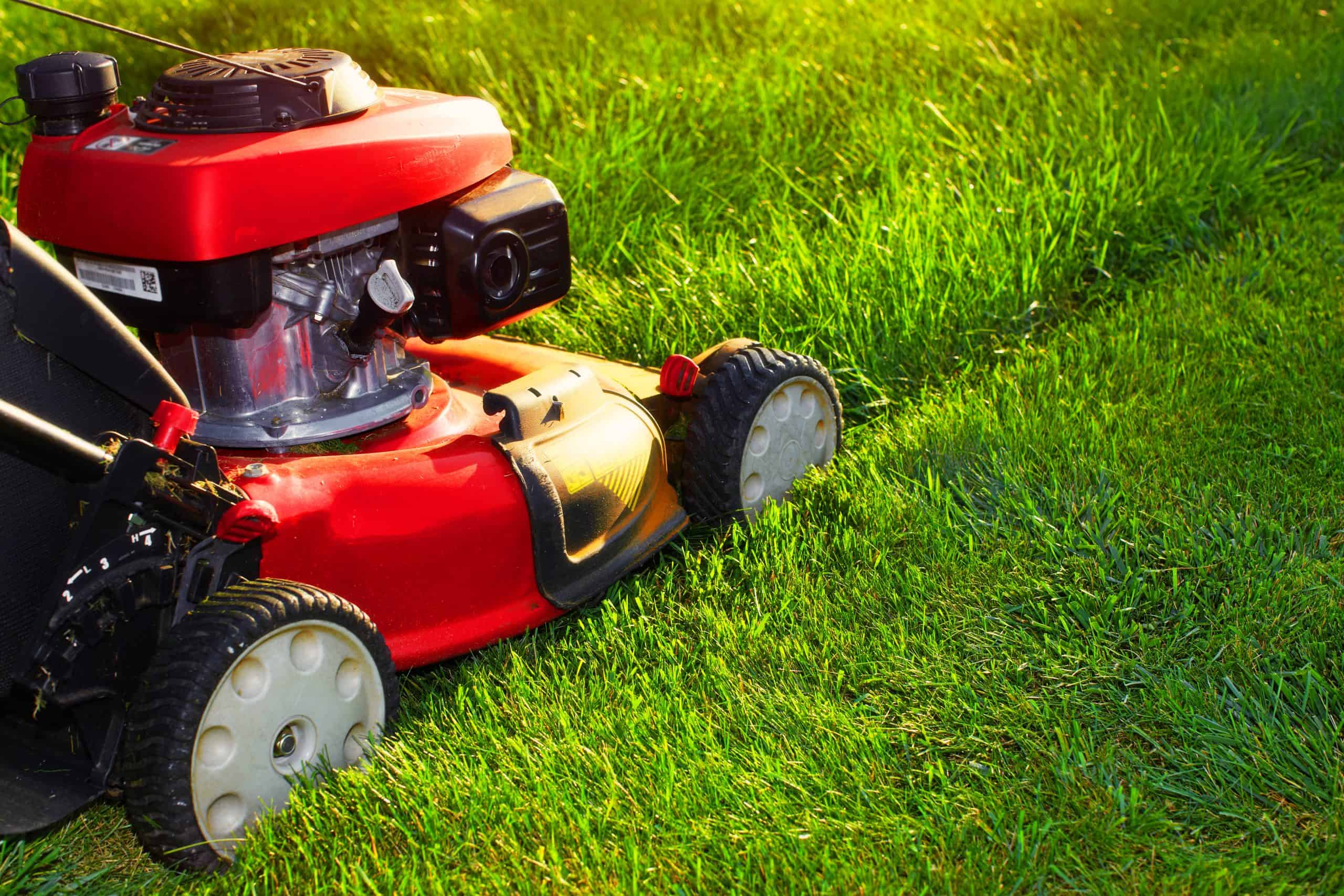 A red lawn mower cuts through green grass, with a visible line showing the difference between cut and uncut sections. The scene is brightly lit, highlighting the lushness of the grass.