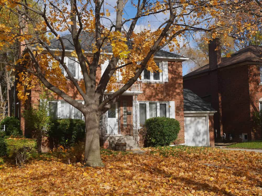 A two-story brick house with white trim is surrounded by autumn trees and a lawn covered in fallen orange and yellow leaves.
