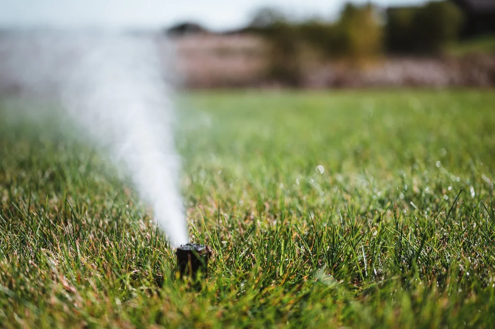 A black lawn sprinkler sprays water mist over green grass on a sunny day, with a blurred natural background.