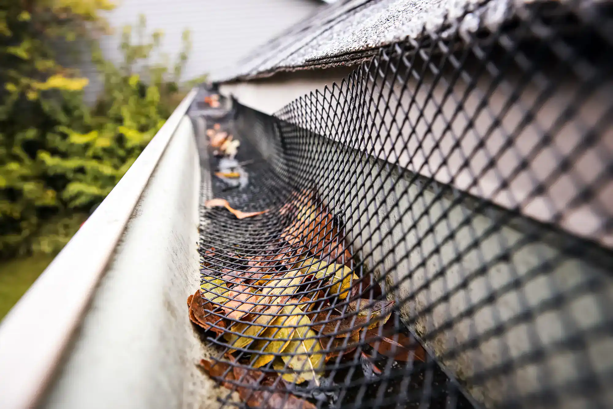 A close-up of a house gutter covered with a black mesh guard, with brown and yellow leaves caught on top and underneath the mesh, next to a roof edge. Green foliage is blurred in the background.