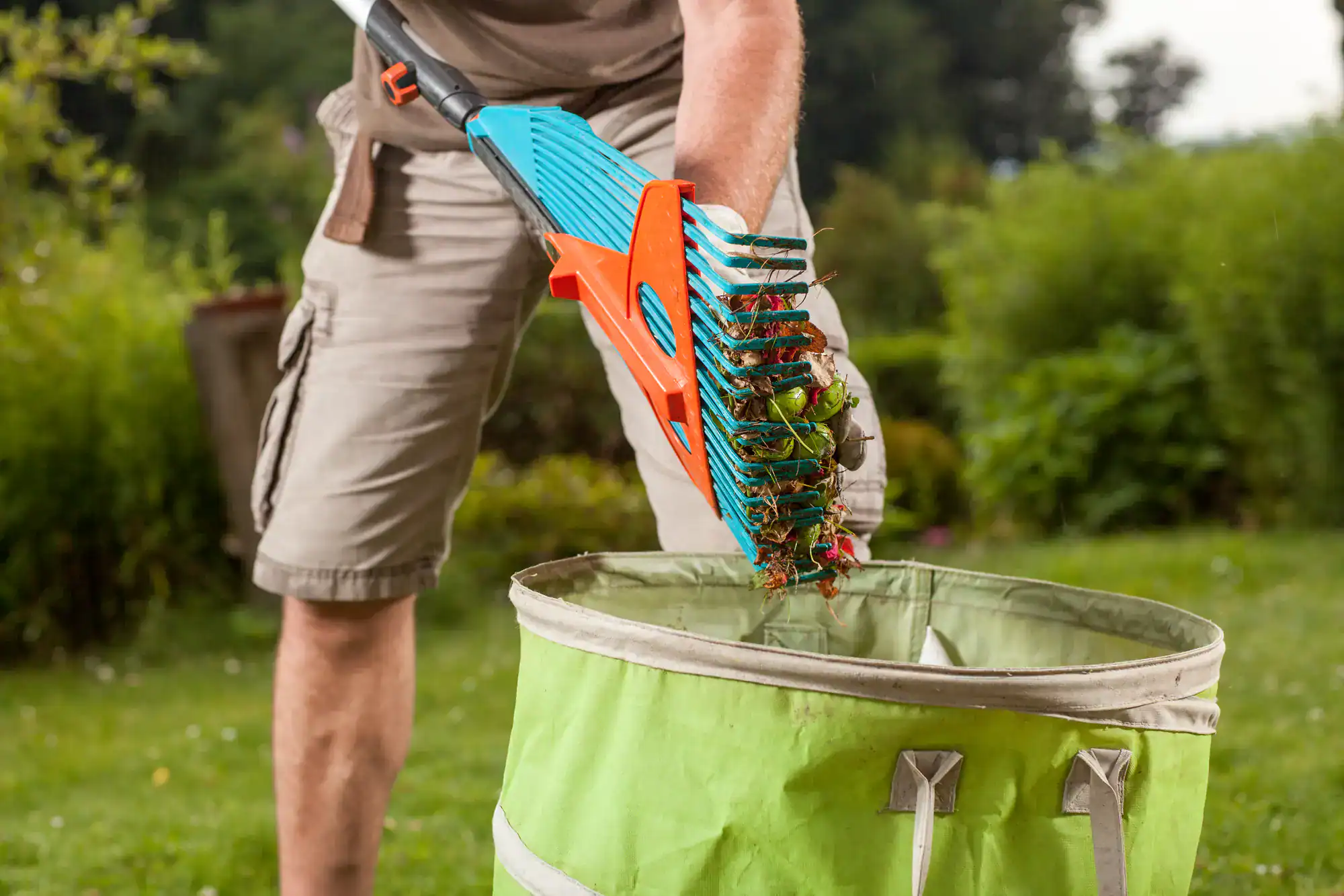 A person wearing shorts uses a blue and orange rake to collect leaves and debris, placing them into a green garden waste bag outdoors on a grassy lawn.