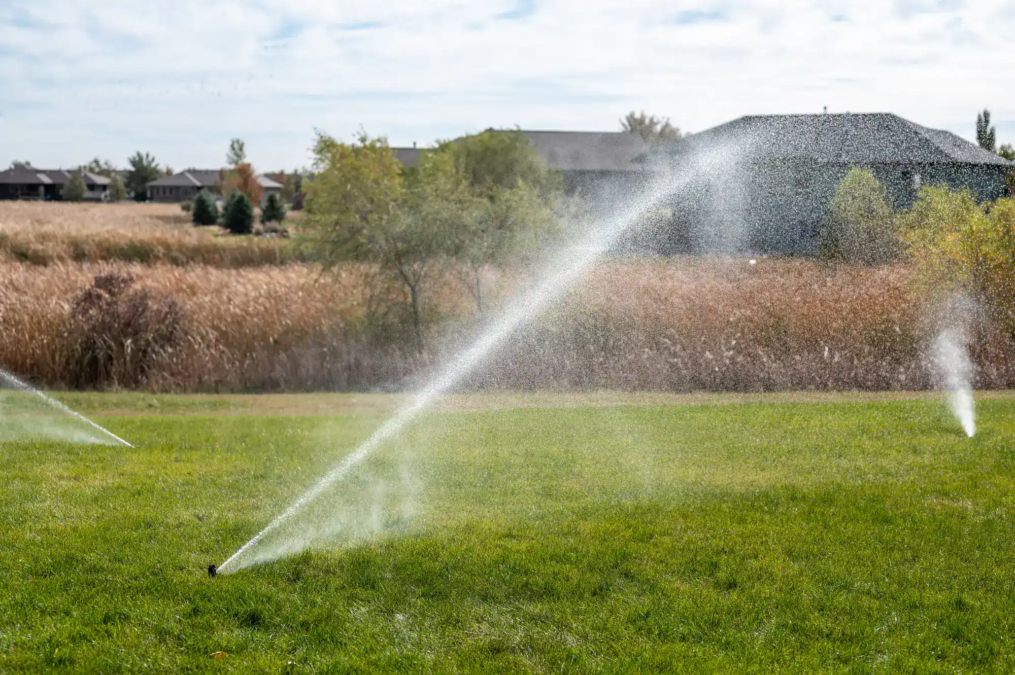 Automatic sprinklers spray water over a green lawn on a sunny day, with trees, tall grass, and houses visible in the background.