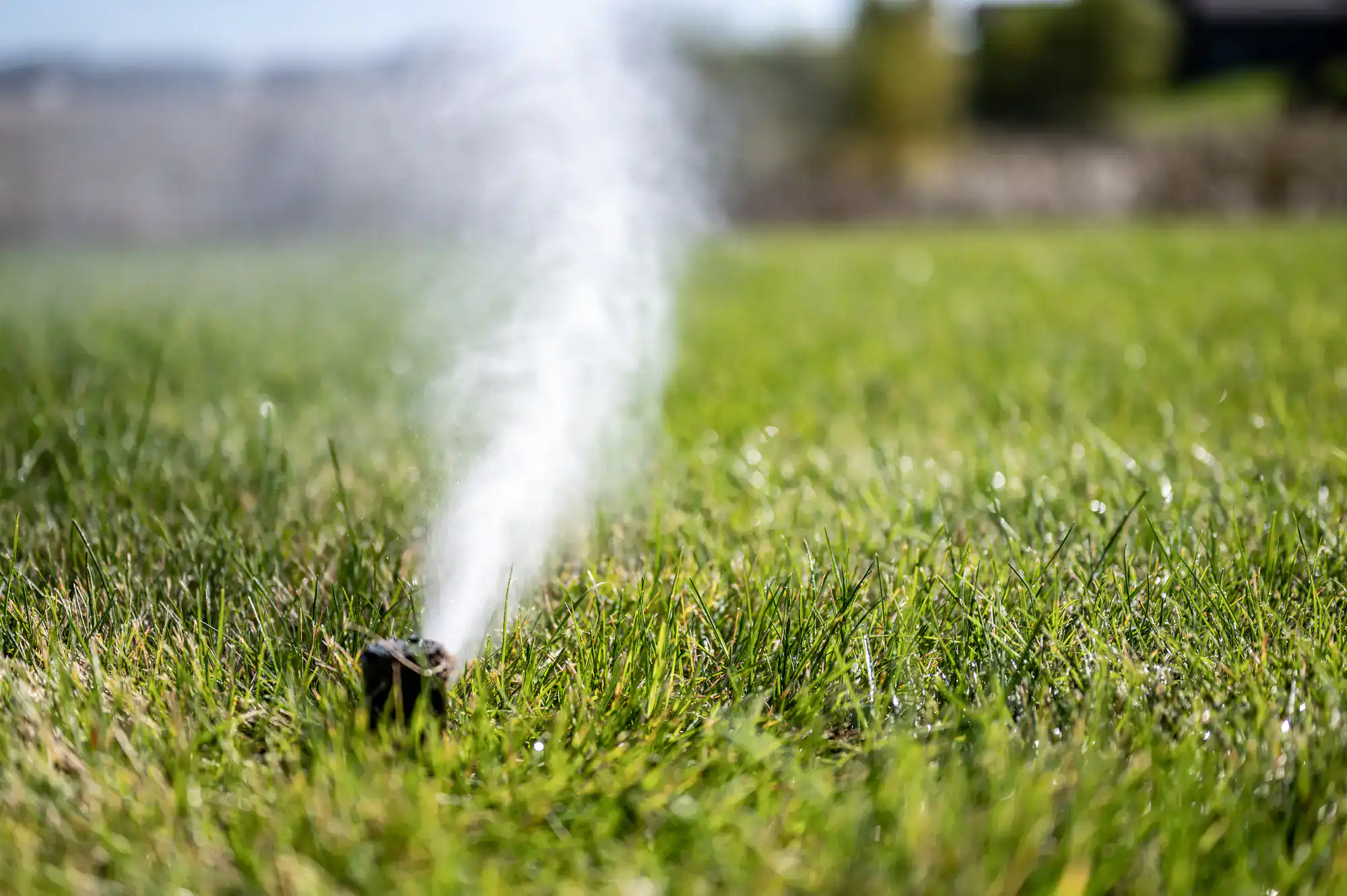 A close-up of a lawn sprinkler spraying water onto green grass, with mist rising and a blurred outdoor background.