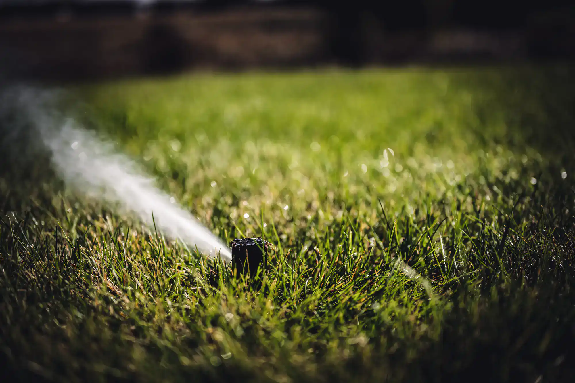 A close-up of a lawn sprinkler spraying water over green grass, with mist visible in the air and the background softly blurred.