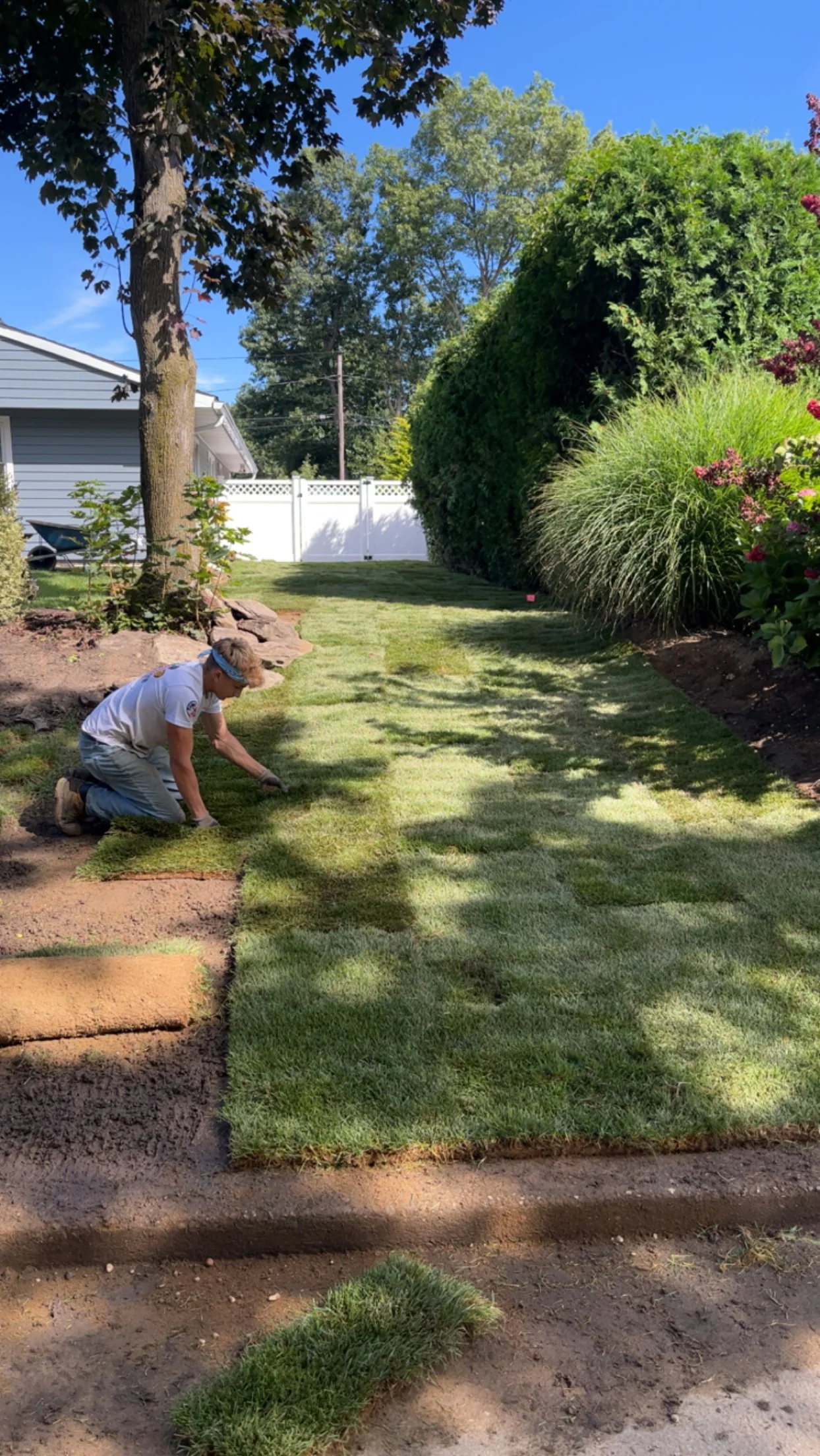 A person kneels on grass, laying new sod in a backyard with trees, shrubs, and a house nearby.